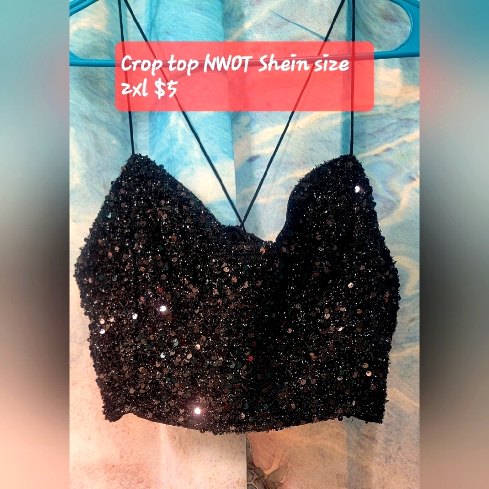 Black sequins crop top.